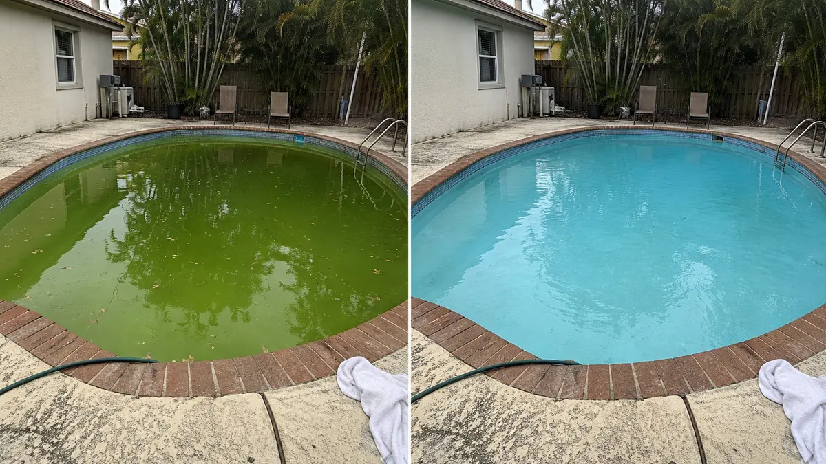 A backyard pool shown before and after going from green algae to clear water