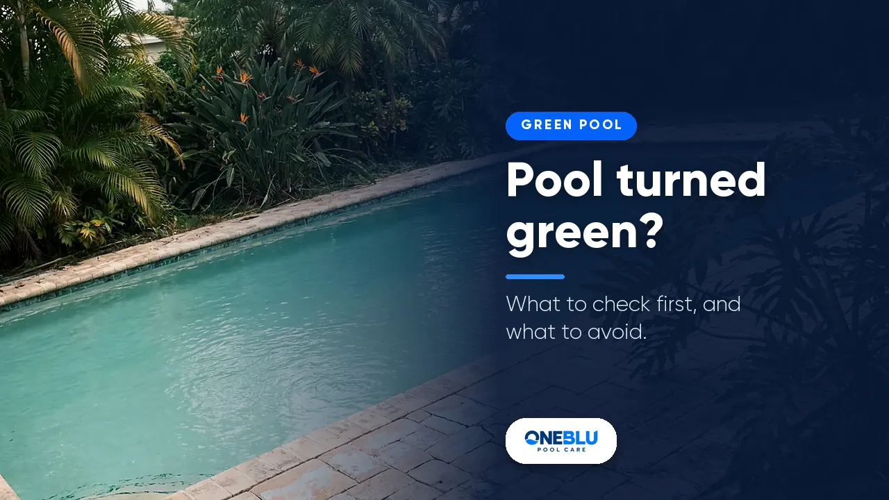 Backyard pool with clear turquoise water, tropical plants and a paver deck, with the overlay text Pool turned green? What to check first, and what to avoid