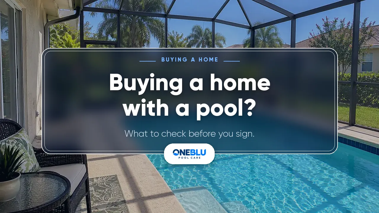 Pool inside a screened lanai with palm trees beyond, with the text Buying a home with a pool? What to check before you sign.